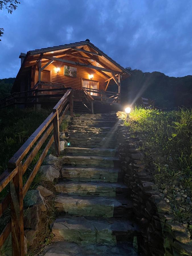 Chalets Du Bf Sighişoara Eksteriør bilde
